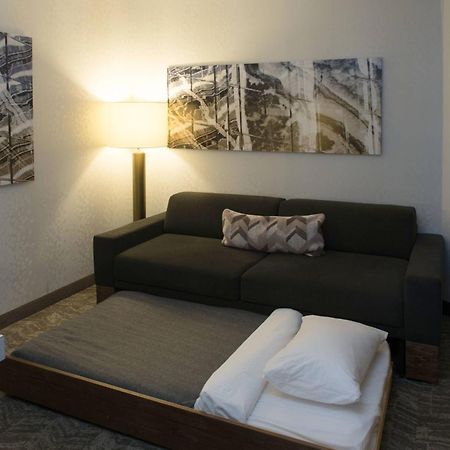 Springhill Suites By Marriott Лоуган Екстериор снимка