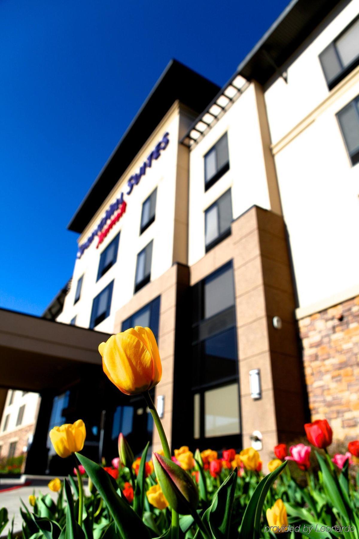 Springhill Suites By Marriott Лоуган Екстериор снимка